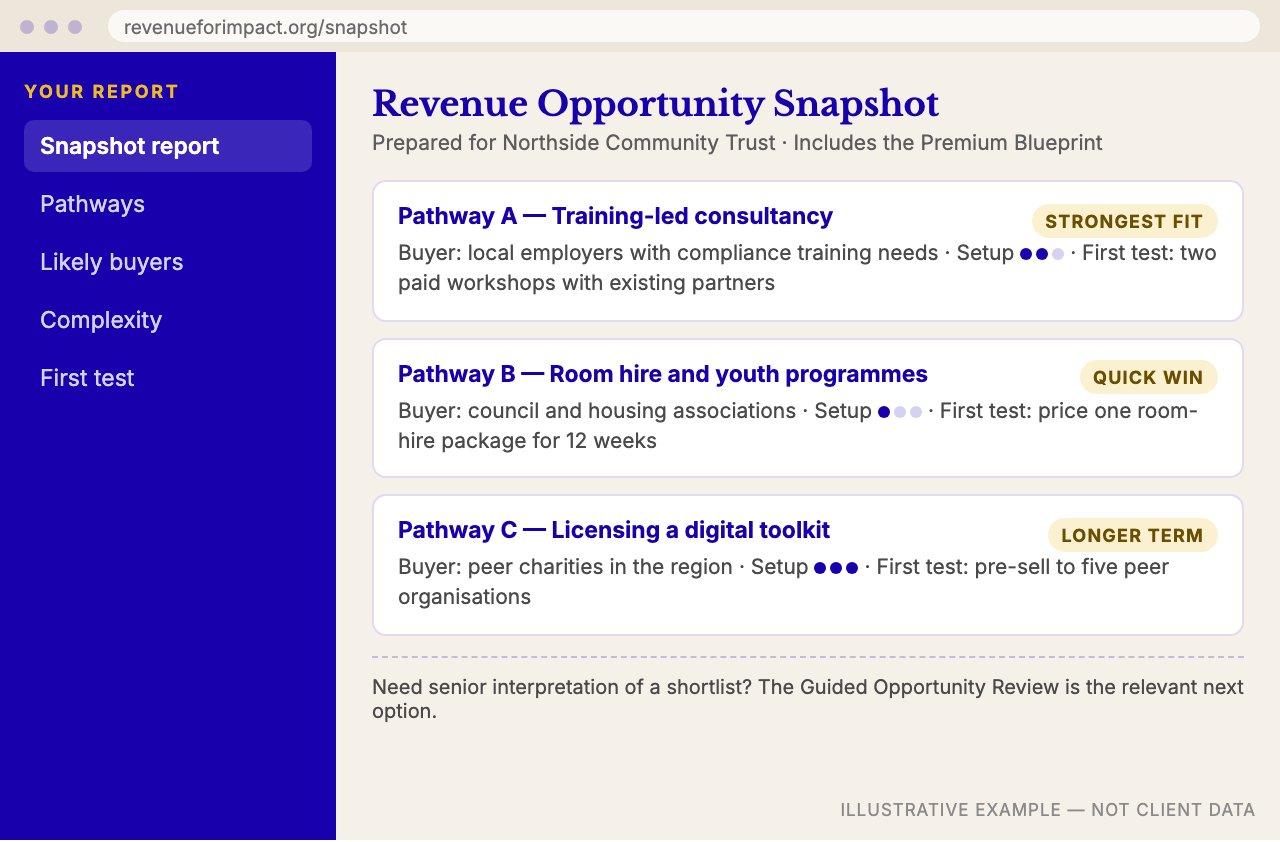 Revenue Opportunity Snapshot preview
